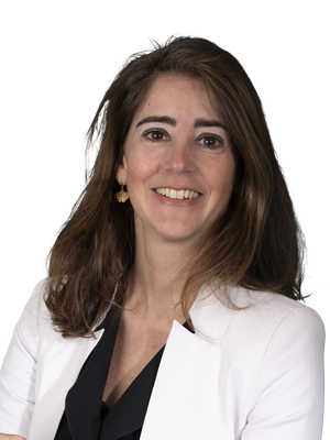 Managing & Customer Director Switzerland der ALSTOM Schweiz AG